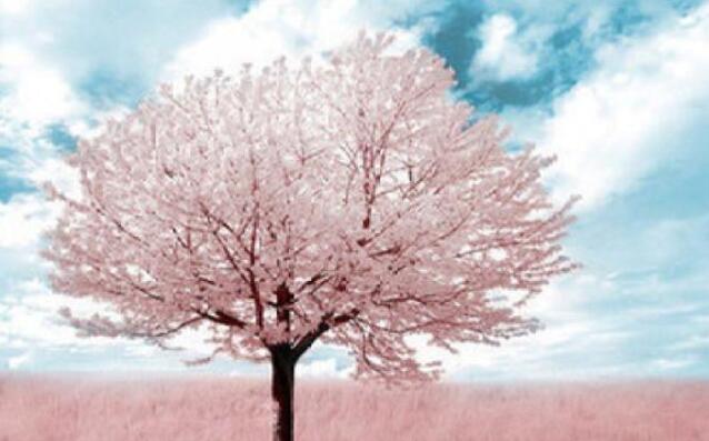 回忆青春的唯美句子文案