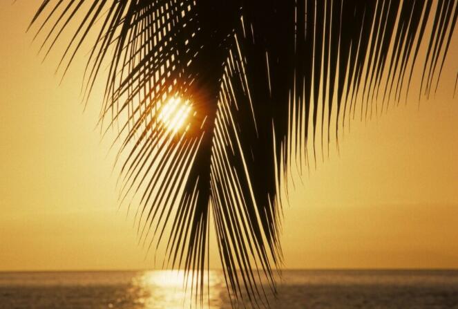 关于雨后清新的句子文案