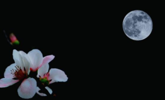 中秋节手抄报短句