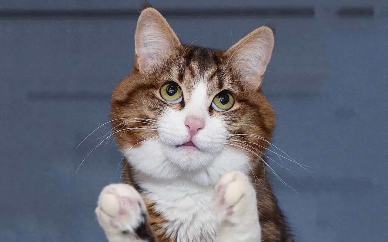 最内涵最污的段子文案