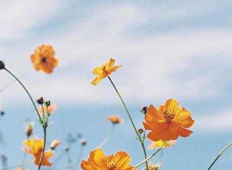 一生很短好好珍惜的说说文案