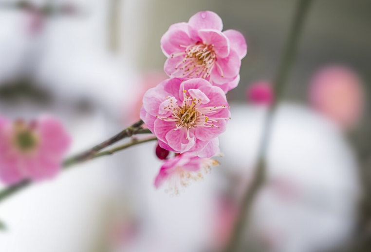 关于勤奋的名言警句