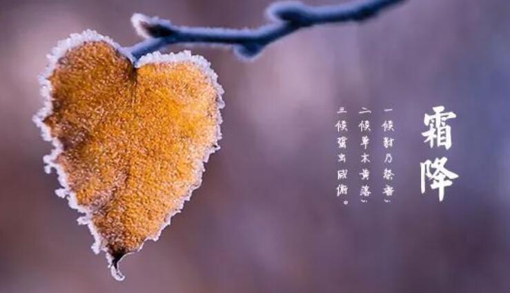 形容霜降的句子文案八个字