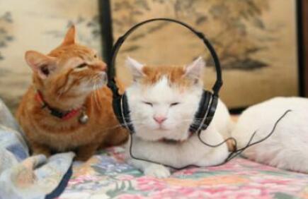 分享一首歌的说说文案