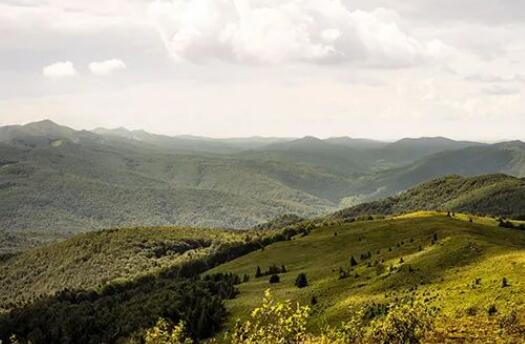夸自己优秀的句子文案
