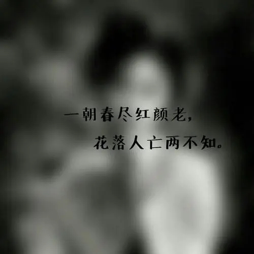 描写一个风流的句子文案