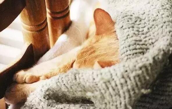 表达心烦失眠的句子文案