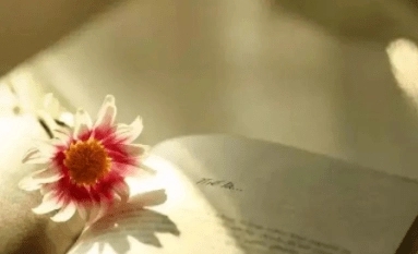 人生态度潇洒的诗句文案