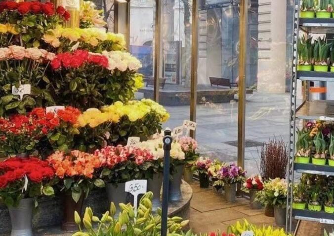 感恩早安问候图片