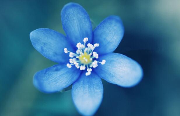 四年级颜色的句子文案十字左右