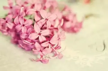 生活简单快乐的句子文案短句说说