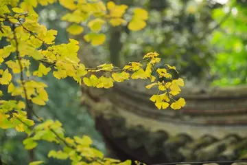 丰富多彩的生活的名句文案