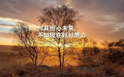 关于勤奋正能量的句子文案