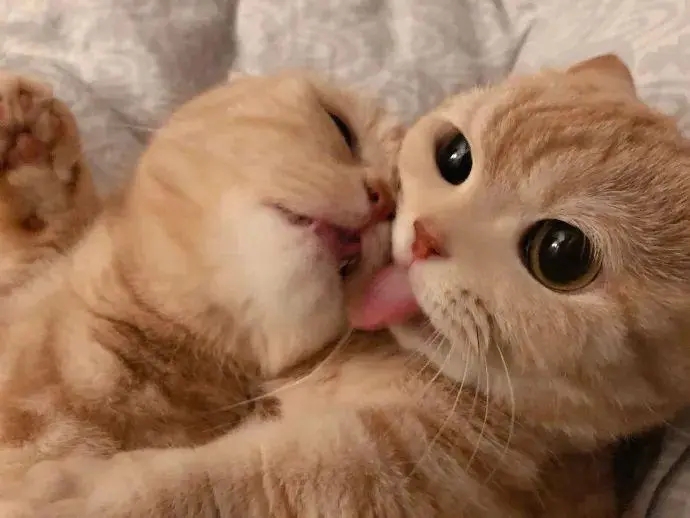 撩人地叫起床的话