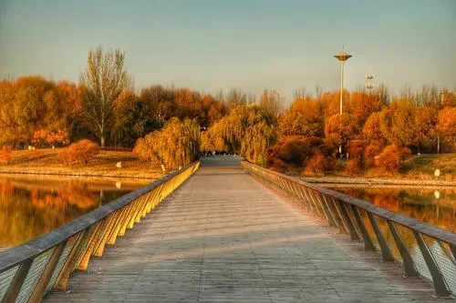 又逢深秋的经典句子文案