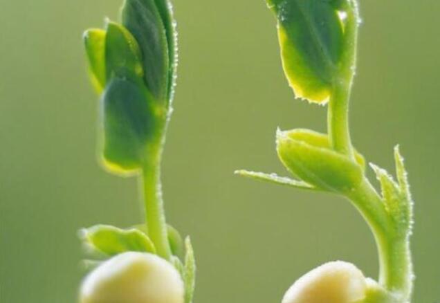 那些经历现实的短句