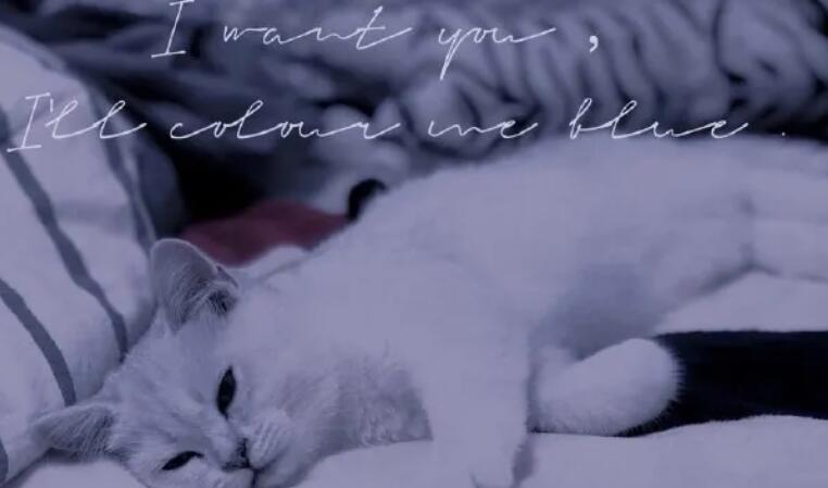 对爱情看透的伤感语句文案