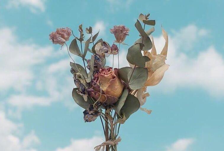 阳光心态正能量的句子文案2024