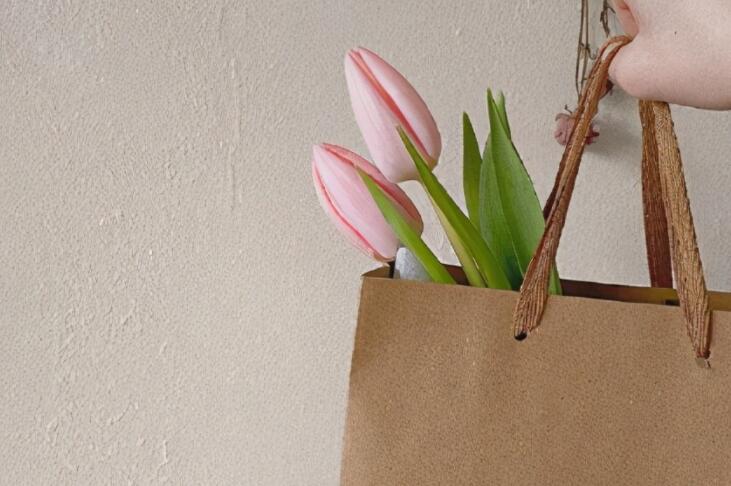 真心认错的短语