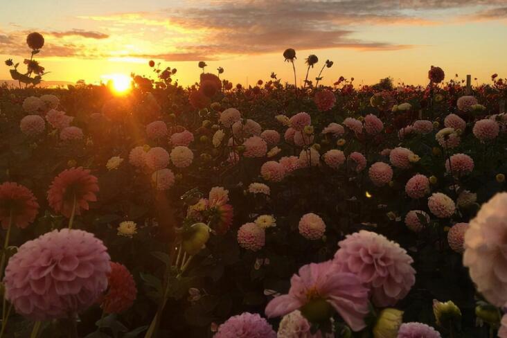 生活简单美好的签名