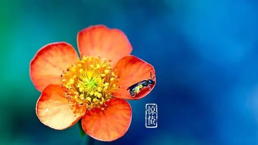 关于惊蛰的优美句子文案