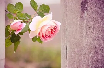 潮流语录文案经典短句