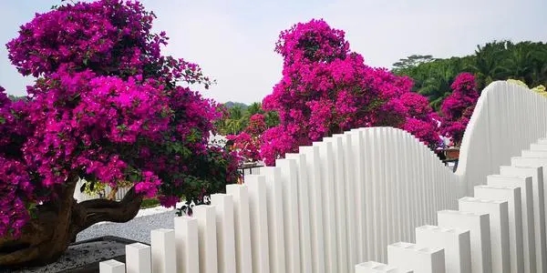 有缘千里来相会的爱情句子文案