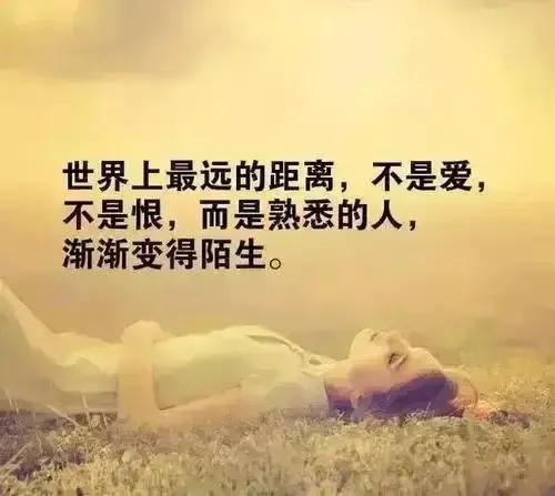 形容无情狠心的女人句子文案