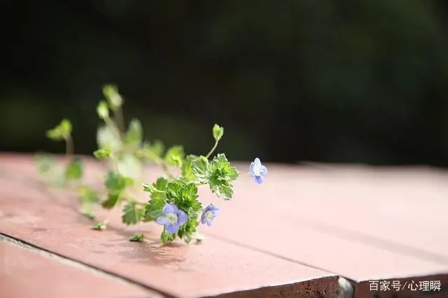 静静的放空自己的句子文案