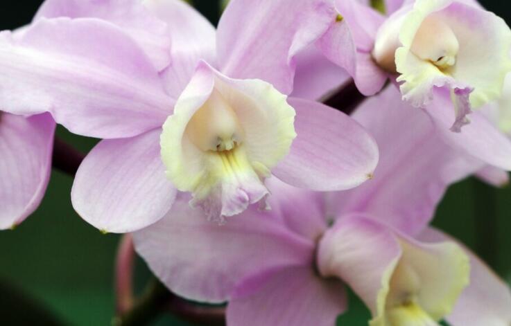 唯美励志经典简短句子文案