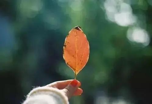 爱包容一切经典语录文案