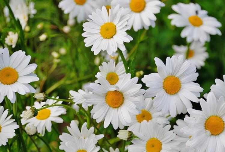 早晨群发正能量问候语