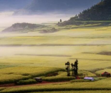 优美诗句文案摘抄大全