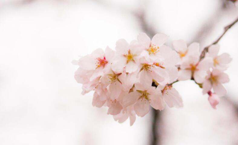 一生很长一生很短佳句