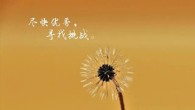 煽情清新励志小短句