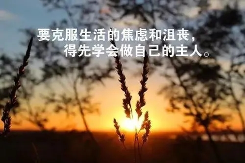 让人开心的心灵鸡汤