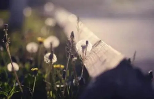 女孩心情说说文案大全唯美