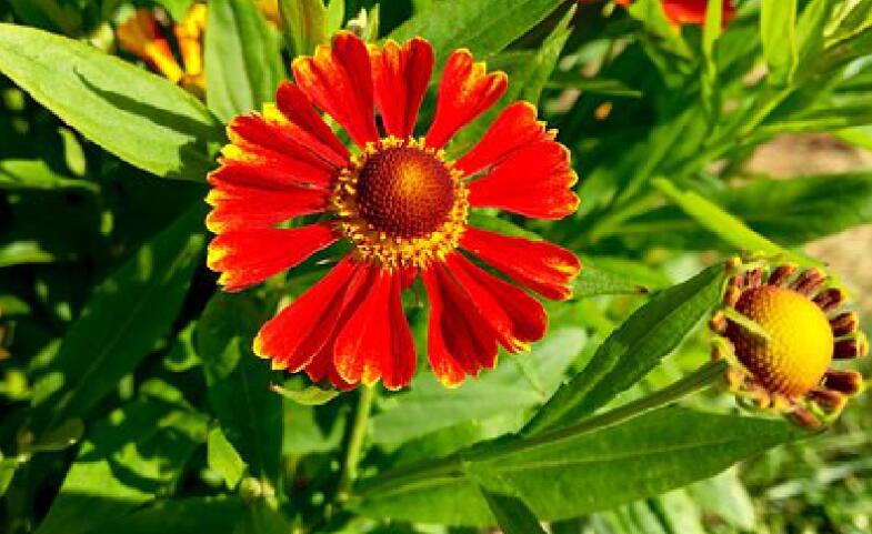 有内涵的经典励志句子文案