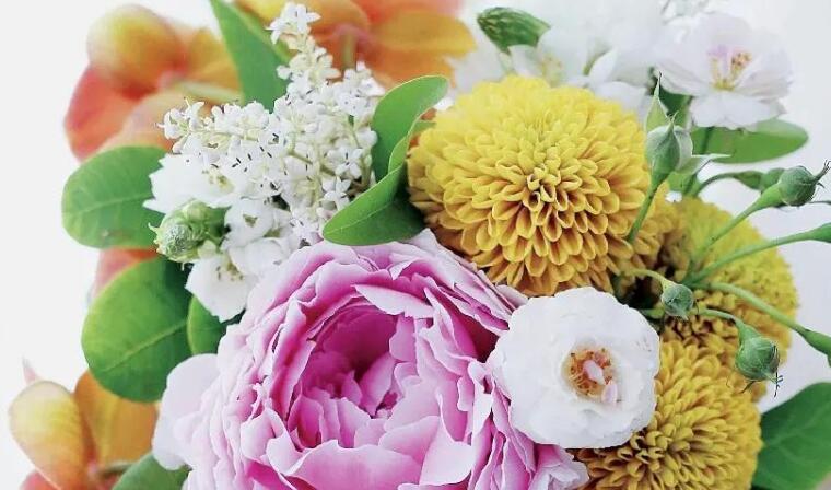 形容世界多姿多彩的名言