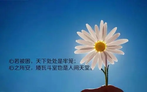 看自己朋友圈经历感慨