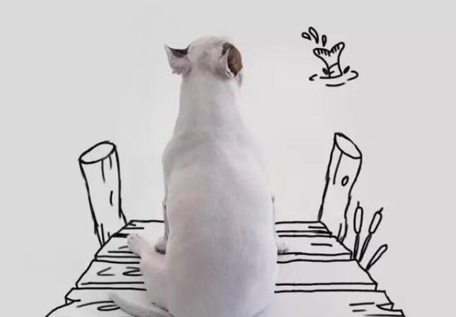 晚安的幽默句话