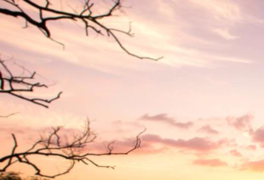 赞美母校的诗句文案和名言