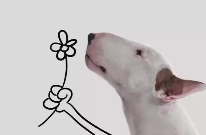 逗比的说说文案发朋友圈的