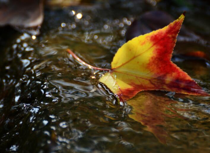 关于九月的诗句文案古诗词