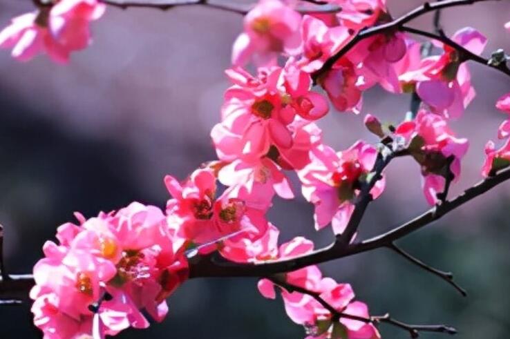 在感情上贪心的句子文案