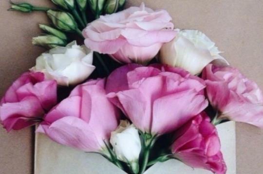 一句表白情话文案