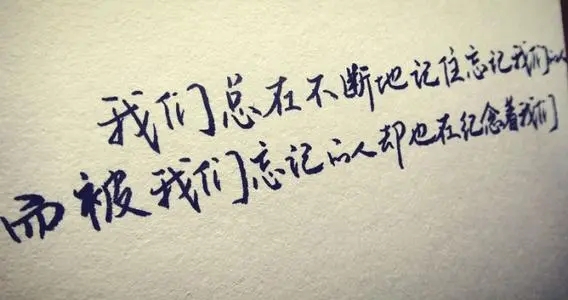 优美的情感句子文案短句