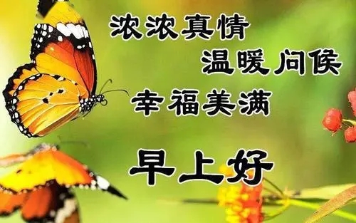 女孩早上好带字问候语