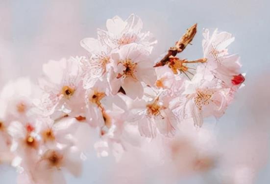 关于友情的文案简短