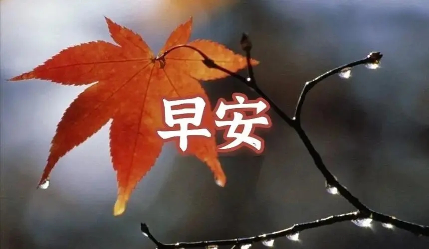 对别人说早上好的句子文案